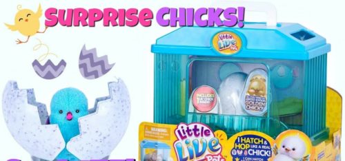 Review: Little Live Pets Surprise Chick House - Parenting Hub